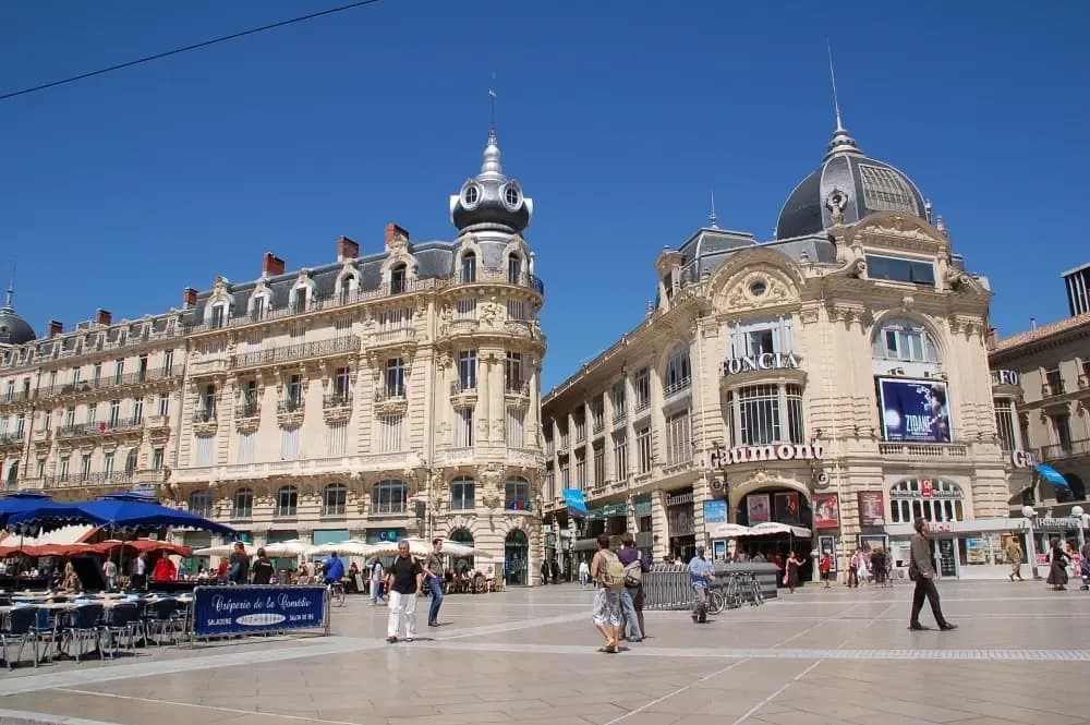 Montpellier University