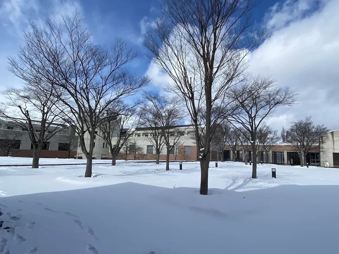 Aizu University