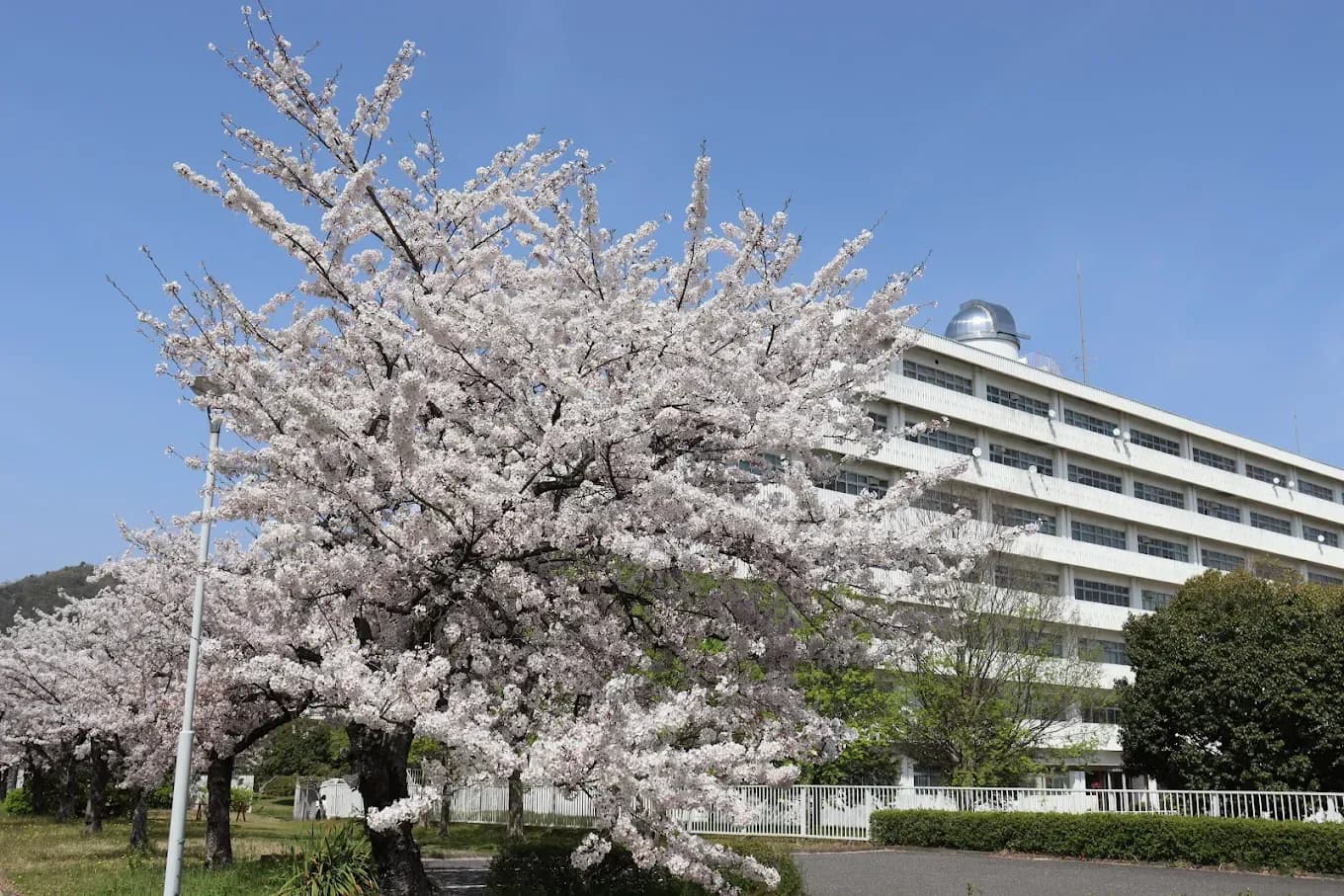 Gifu University
